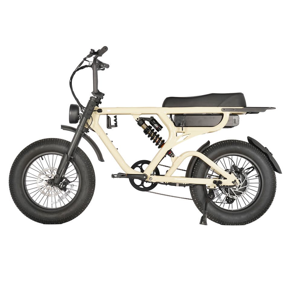 1000W Full Suspension Mountain Fat Tire E-Bike feature 1