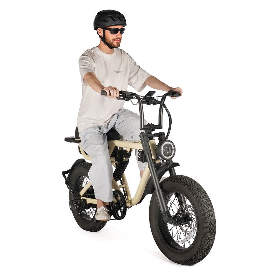 1000W Full Suspension Mountain Fat Tire E-Bike feature 2