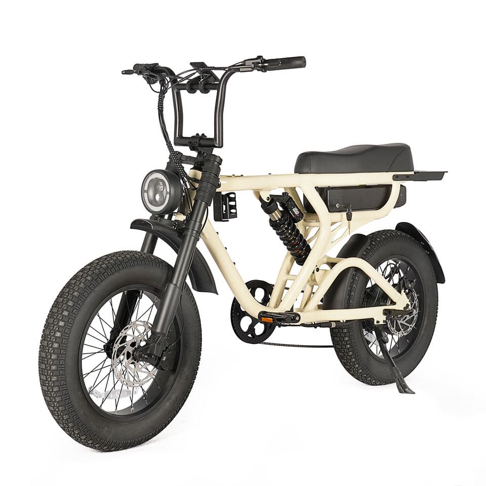 1000W Full Suspension Mountain E-Bike from ZUMIBIKE