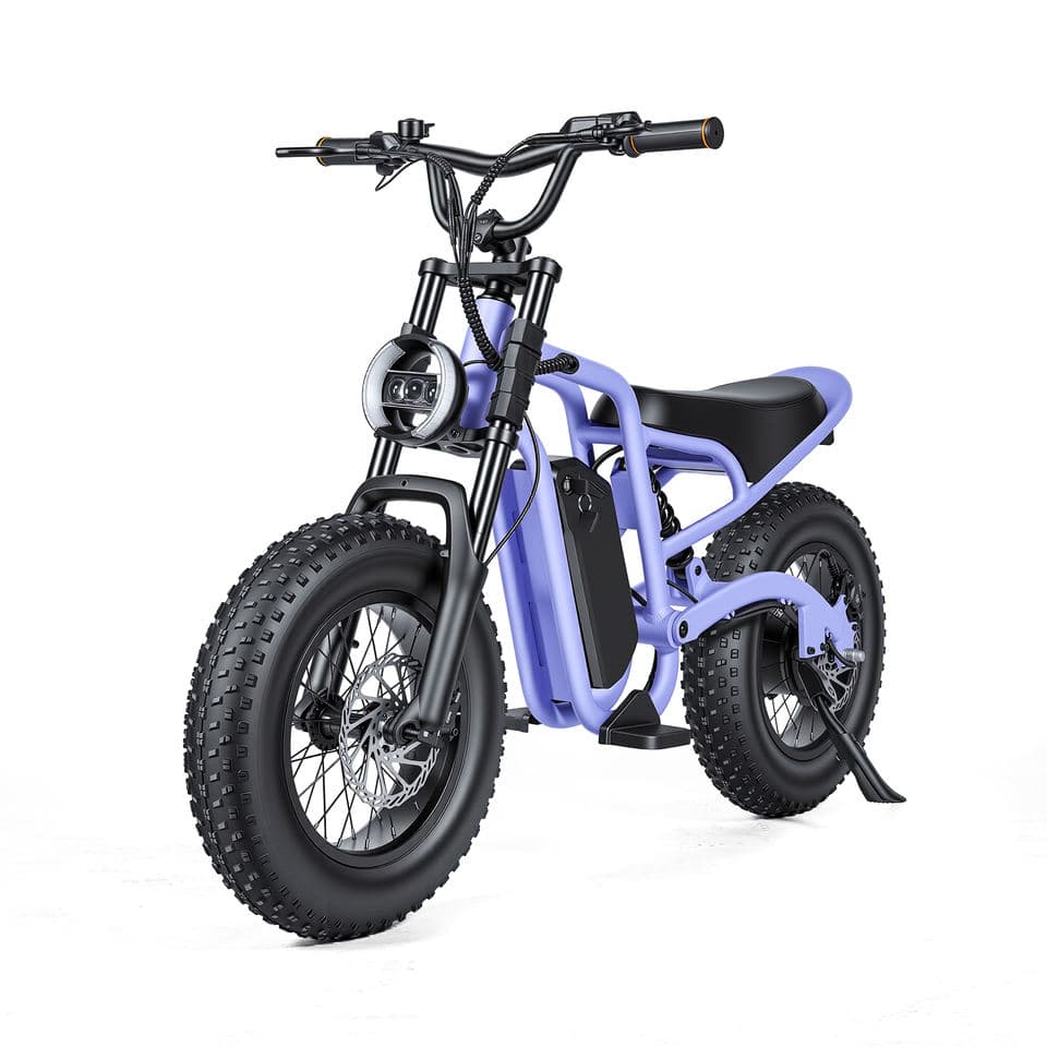 350W Kids Electric Dirt Bike from ZUMIBIKE