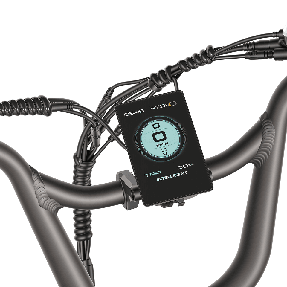 High Performance 1000W Full Suspension Fat Tire E-Bike feature 3