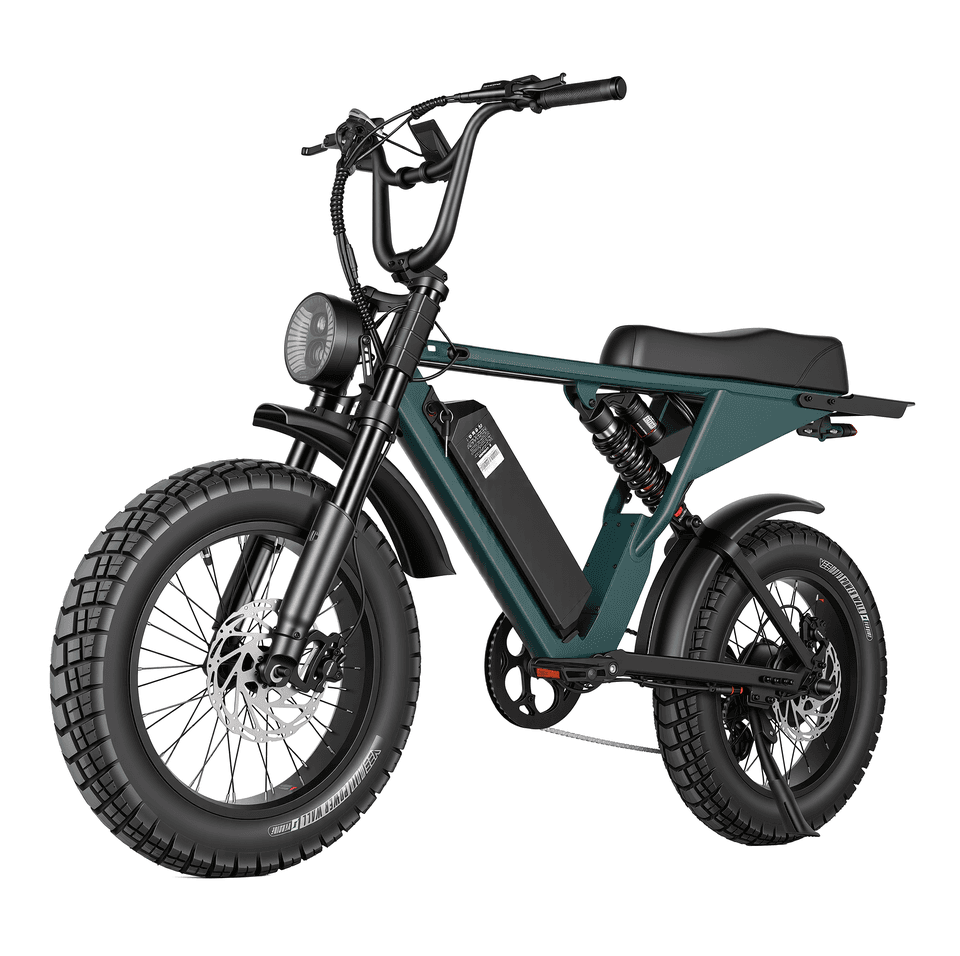 High Performance 1000W Fat Tire E-Bike from ZUMIBIKE